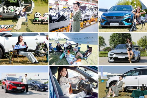 雙十一搞廠家直銷，壕禮連送12天，這家法系車企愛(ài)了愛(ài)了！
